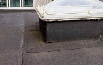 disadvantages of Borreraig flat roofs