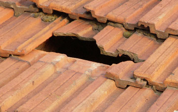 roof repair Borreraig, Highland
